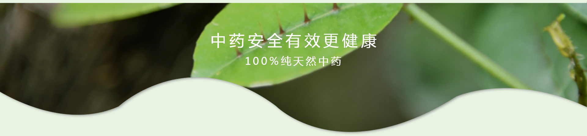 ��ҳ|7790�ط������й��ٷ���վ