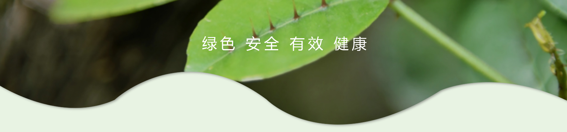 ��ҳ|7790�ط������й��ٷ���վ