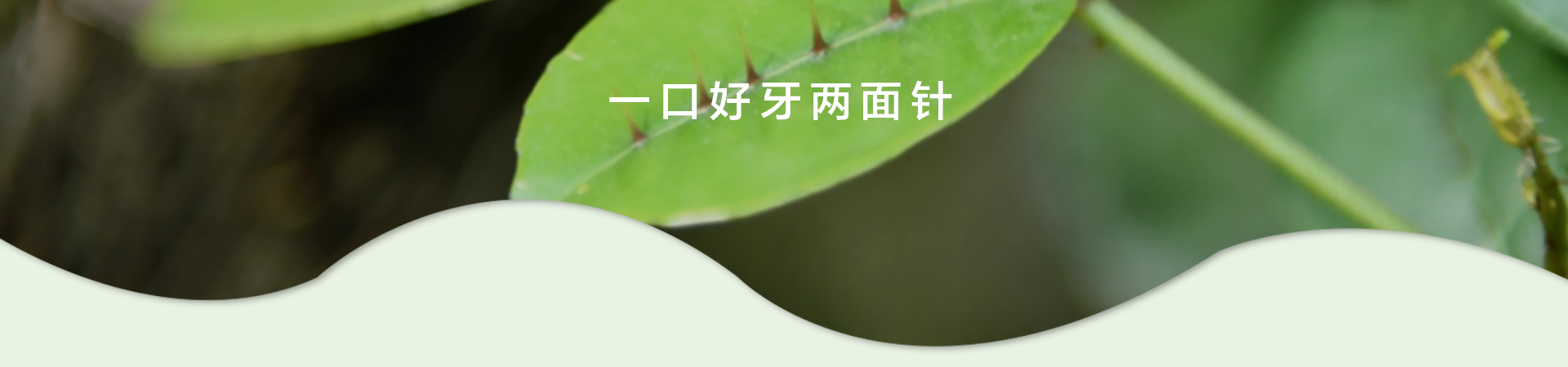 ��ҳ|7790�ط������й��ٷ���վ